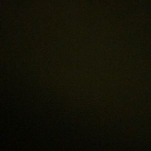 Meet your Posher, Carmen